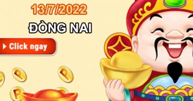 Soi cầu XSDNA 13/7/2022 dự đoán cầu VIP Đồng Nai