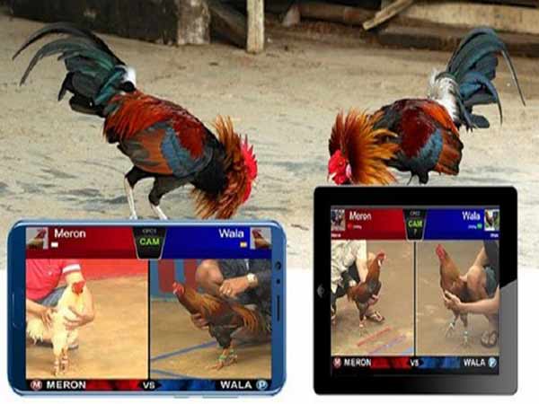 Trận đấu online diễn ra với giao diện dễ nhìn