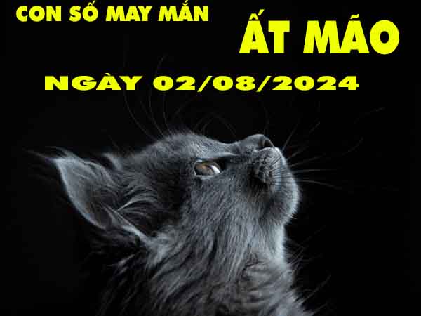 Nhận định con số may mắn tuổi Ất Mão ngày 2/8/2024 thứ 6 hôm nay