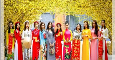 cap-nhat-xu-huong-ao-dai-ngay-tet-an-tuong-nhat