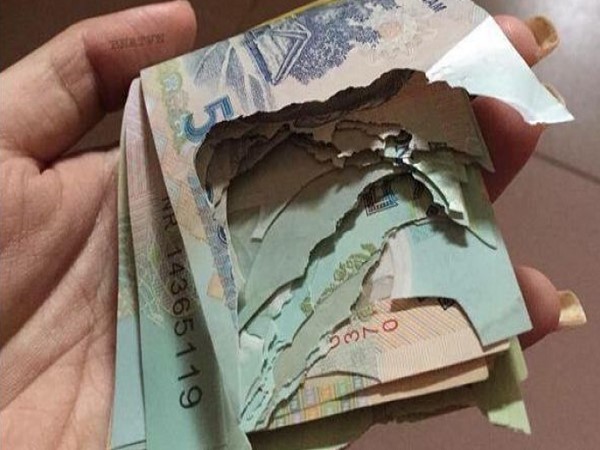 Chiêm bao thấy tiền rách xuất hiện trong nhà