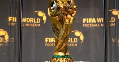 Các giải đấu của FIFA
