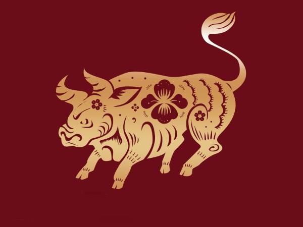 Tổng quan vận trình tử vi tuổi Sửu 27/9/2025