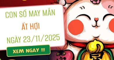 Luận giải con số may mắn tuổi Ất Hợi ngày 23/11/2025 chuẩn xác